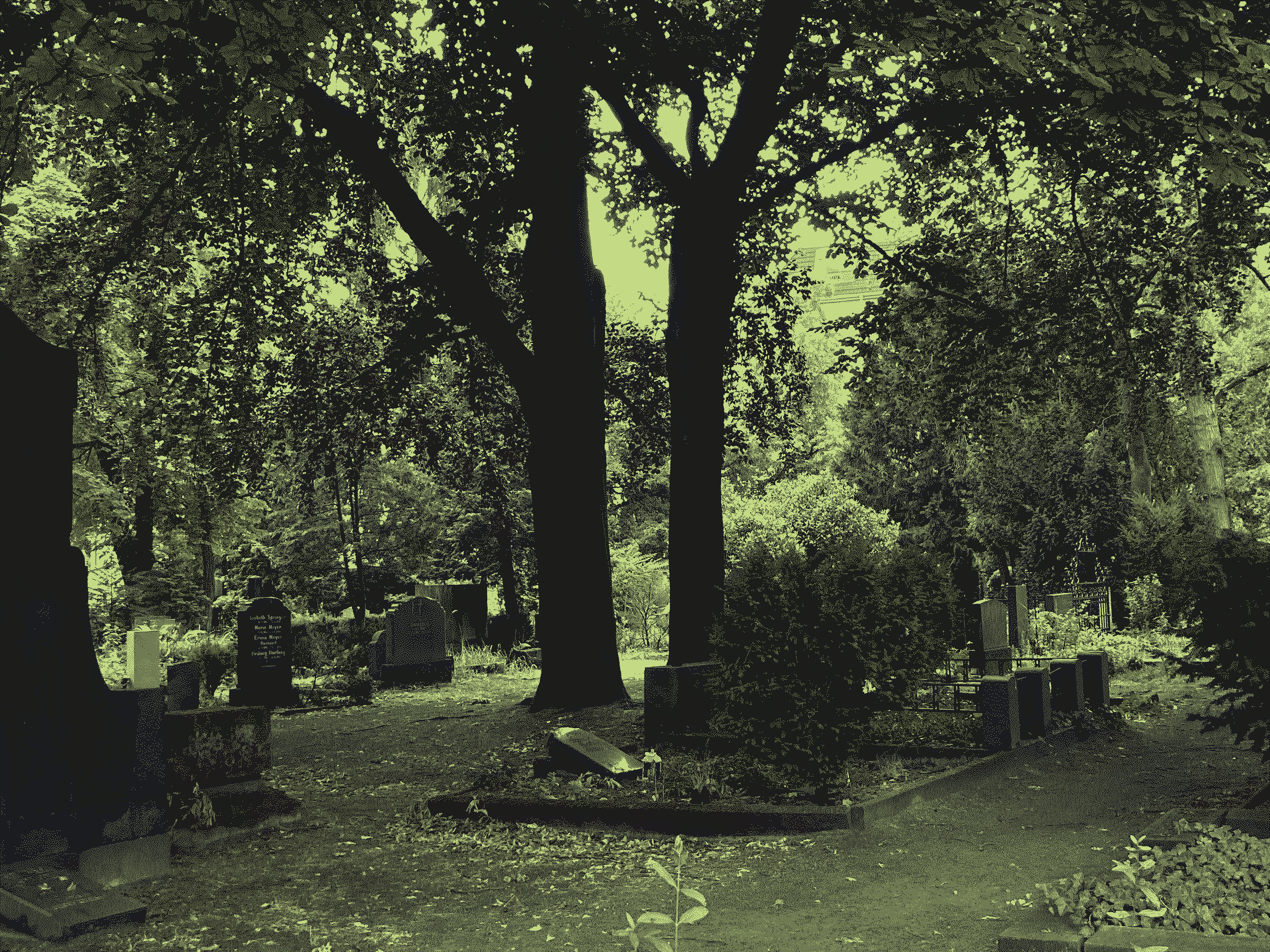 ceci est la première photo de cimetière
